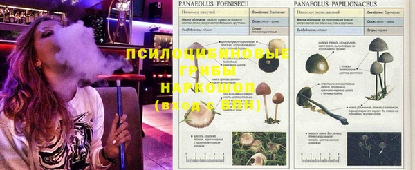 кокаин VHQ Абаза