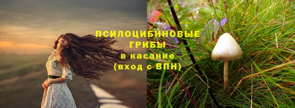 СК Абинск