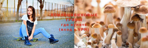 сатива Белая Калитва