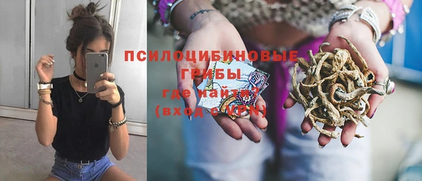 PSILOCYBIN Абдулино