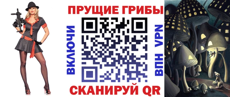 Псилоцибиновые грибы Psilocybe  где можно купить   Белая Калитва 
